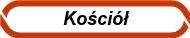 Koci