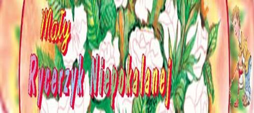 May Rycerzyk Niepokalanej